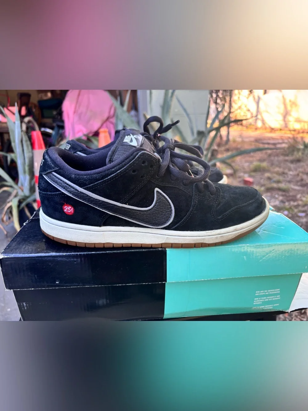 Nike SB dunk low quartersnacks 2014